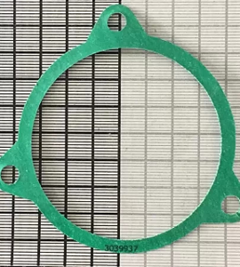 3039937 GASKET