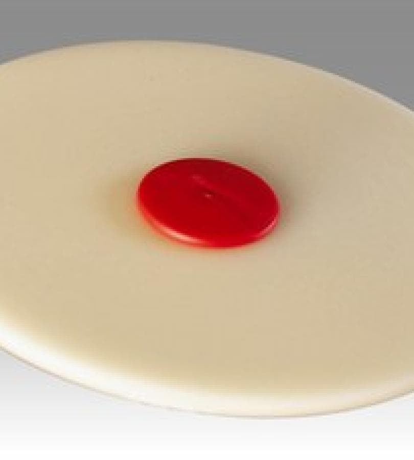 MOLDING ADHESIVE AND STRIPE REMOVAL DISC, 07501, 4 IN X 3/8 IN