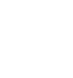 Angad Aviation logo
