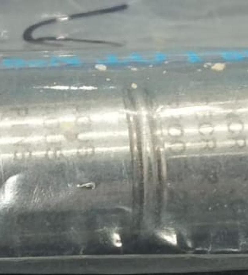 109-0840-16-101 PRESSURE SWITCH